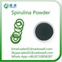 Factory Supply  100 % Natural Extract Powder of Organic  Spirulina 