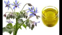 Black Seed Oil, Blackcurrant Seed Oil, Borage Seed Oil, Flaxseed Oil