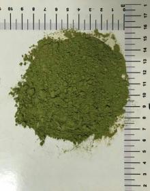 100% natural Moringa Leaf powder, Organic  dry Moringa Oleifera powder,High quality dry Moring Powder