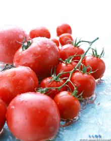  Tomato   Paste   36 - 38 %  cold   break ,2016 Crop