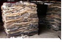 Dry and Wet Salted Donkey/Horse hide /Wet Cow Hides