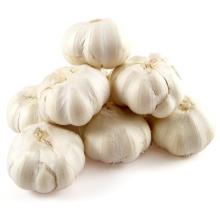 QUALITY WHITE FRESH GARLIC 5.0-6.0 CM