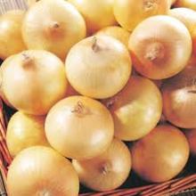 In high quality cheap yellow  fresh   onion  with marketing price