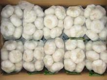 2017 Fresh Garlic - new arrival, hot sales