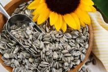  sunflower   seeds  5009 ,363  20 / 64  22/ 64  24/ 64 