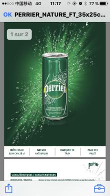 Perrier Slim Cans 250 ML