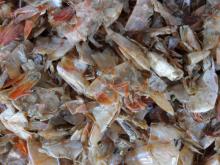 Dried shirmp shell good price