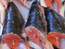 Atlantic salmon heads(Straight cut)