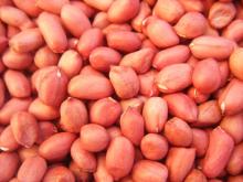 Peanut   Kernel  With  Red   Skin 