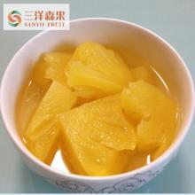 Copy of New Season  Canned   Cherry  Organic  Canned  Fruit in Light and heavy  Syrup 