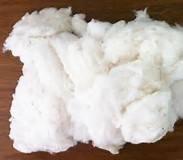 Raw Cotton