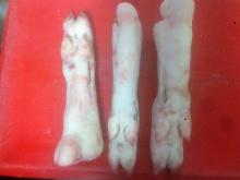 FROZEN PORK HIND FEET
