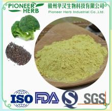 Sulforaphane, Broccoli seed extract, Broccoli extract