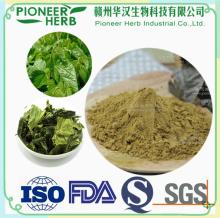 1-Deoxynojirimycin, Mulberry Leaf Extract, DNJ