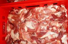 Frozen Pork Trimmings 80/20 from Chile