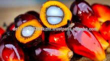 Refined and Crude Palm Oil