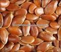 Flax  Seed s