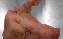 Frozen Pork Head