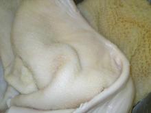 High Quality Low-Fat Omasum
