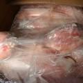 Halal Chicken breast
