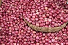 white onion/yellow onion/fresh red onion