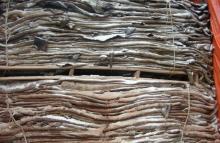 wet salted goat hides