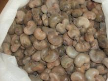 WS Grade Raw Cashew Nut/Cashew nuts 100g