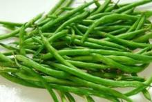 robusta green coffee beans