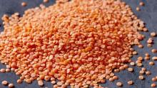 Green Lentils
