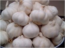 The natural dried white garlic