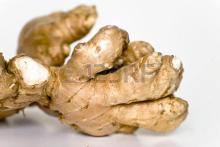  Fresh   Ginger   good  for health