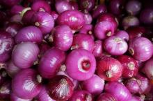 Fresh Onion