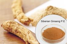 Eleuthero Extract, Siberian Ginseng Extract, Acanthopanax Extract, Eleutherococcus senticosus