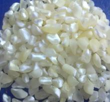 WHITE/YELLOW MAIZE CORN IN BULK READY FOR SUPPLY