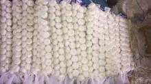 braided garlic from GoodFarmer pure white garlic normal white garlic