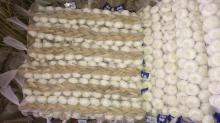 chinese Jinxiang garlic braided garlic from GoodFarmer pure white garlic normal white garlic