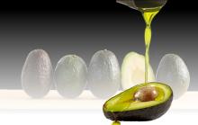 Organic avocado oil