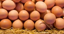 Brown Chicken Eggs