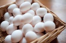 White Chicken Egg