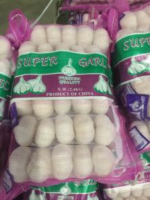 Jinxiang Garlic 5 in 1 bag