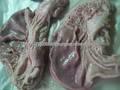 AA Pork Pork Stomach