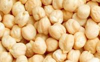 Premium Quality Kabuli Chickpeas