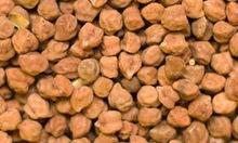 Premium Quality Desi Chickpeas