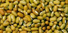 Bamboo Beans