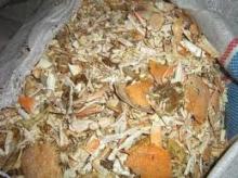 Dried Crab Shell