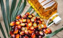 Refined  Palm  Oil - Olein CP10, CP8, CP6