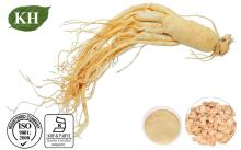Supply American Ginseng Root Extract Ginsenosides 2%-80% UV