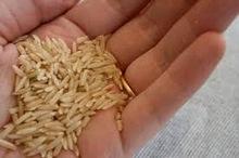  Brown   Basmati   Rice 