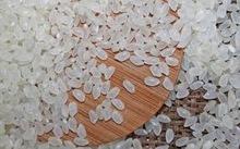 Best Quality Japonica Rice