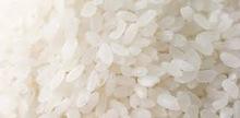 Sushi Rice Premium Quality